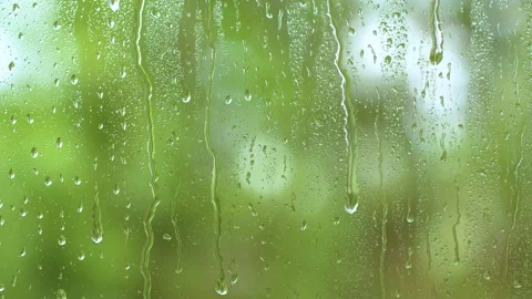 Water rainfall, vertical rain drops texture on window glass, blurred green trees Stock Footage 196141962