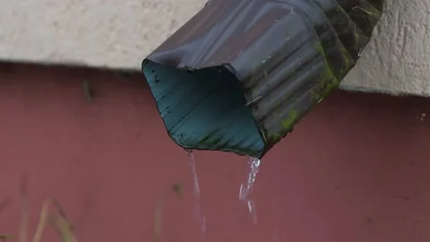 Water is raining out of the gutter with moss Stock Footage 147856510