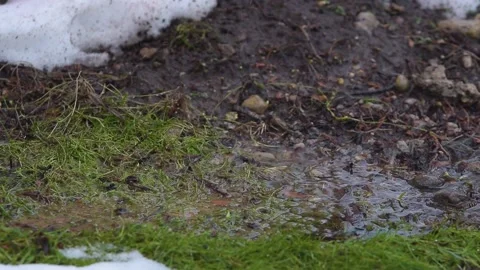 Water rains out of the gutter and drips to the ground Stock Footage 147856807