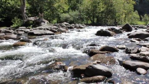 Water Rapids in a Creek Stock Footage 99118550