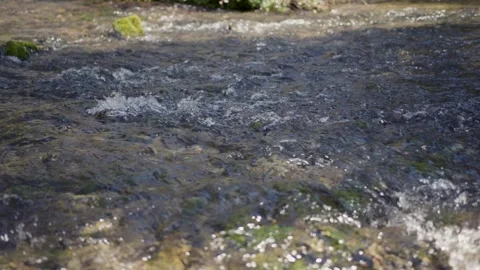 Water rapids flow on sunny forest river in slow motion Stock Footage 341898903
