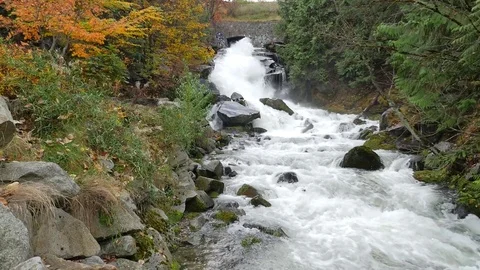 Water Rapids Flowing Down Stream In The Fall 03 Video stock 77611966