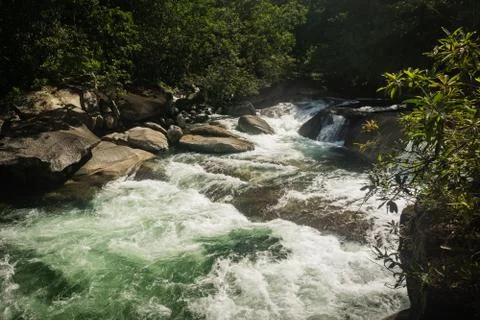 Water rapids flowing over rocks in a rainforest Stock Photos