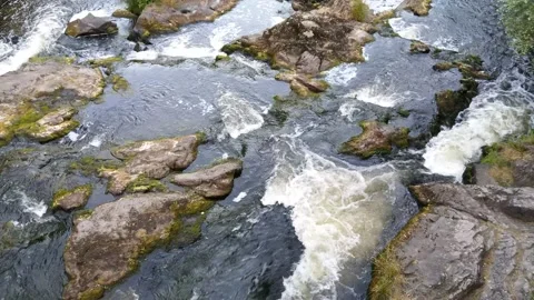 Water rapids stream top down Stock Footage 158033812