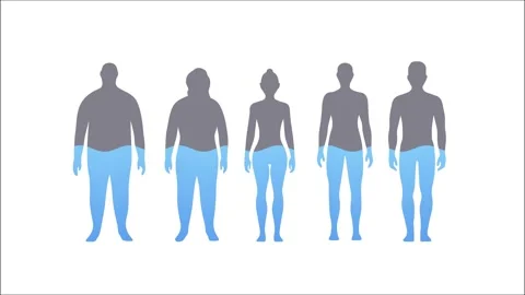 Water Rate In The Human Body Animation. 動画素材 219956031