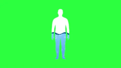 Water Rate In The Human Body Animation on chroma key green screen background.  Stock Footage 219956050
