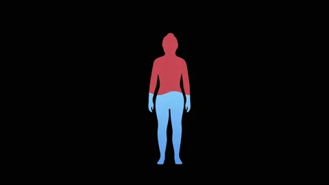 Water Rate In The Human Body Animation on a black background.  Stock Footage 219956052