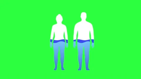 Water Rate In The Human Body Animation on chroma key green screen background . Stock Footage 219956060