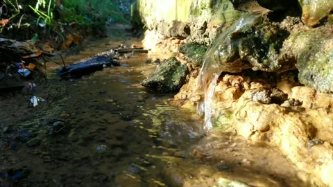 Water is the real source of life in this world Stock Footage 218390405