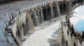 Water recycling in industrial sewage treatment plant HD Footage