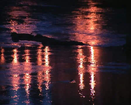 WATER red light reflections bokeh Stock-Footage 11463715