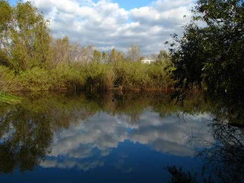 Water reflecting clouds Stock Photos