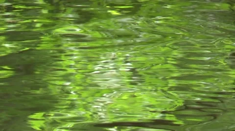 Water reflecting green Stock Footage 50410688