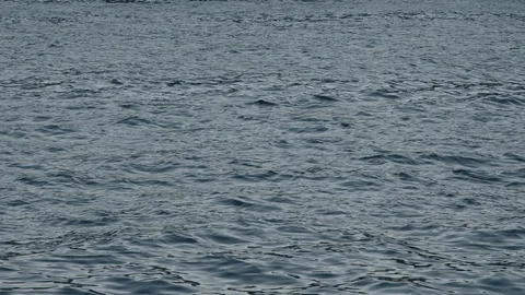 Water with reflecting lights 動画素材 125622366