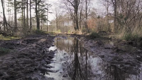 Water reflecting trees in a puddle on a muddy path Видео 293082690