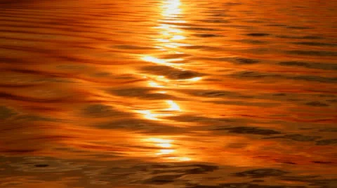 Water Reflection. 04 Stock Footage 25821041