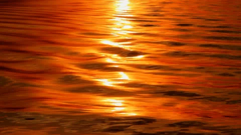 Water Reflection. 05 Stock Footage 25821095