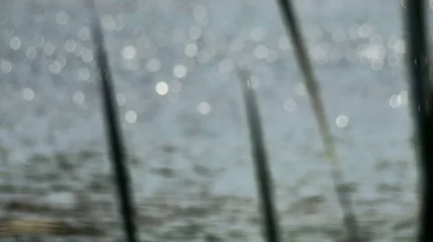 Water reflection 11. Stock Footage 7746039