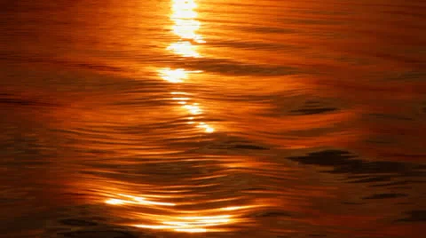 Water Reflection. 15 Video stock 25822340