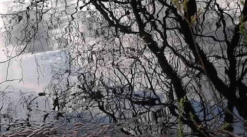 Water reflection 4. Stock Footage 1218053