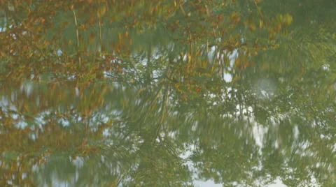 Water reflection abstract background Vídeo Stock 44498034