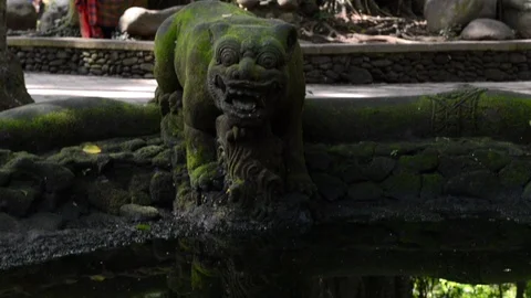 Water reflection and hindu statue Stock Footage 96187257