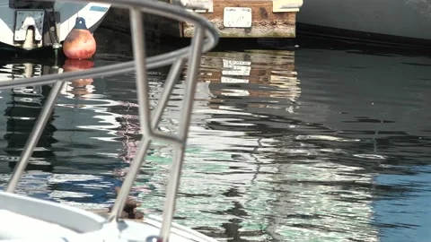 Water Reflection At A Boating Dock Stock Footage 208807670