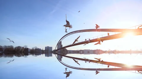 Water reflection. bridge landscape. birds flying. slow motion. sunset Stock Footage 33822874