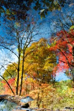 Water reflection in creek Stock Photos