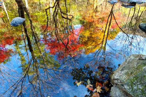 Water reflection in creek Stock Photos
