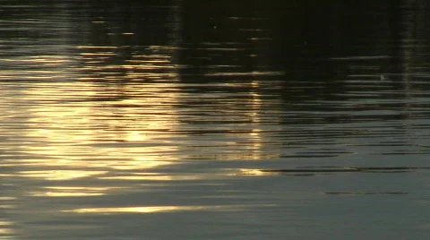 Water reflection Stock Footage