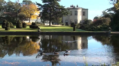 Water reflection Stock Footage 905663