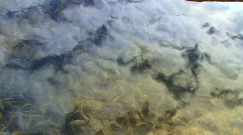 Water Reflection Stockbeeldmateriaal 995436