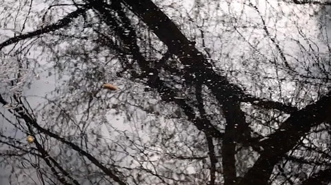 Water reflection. Stock Footage 1217934