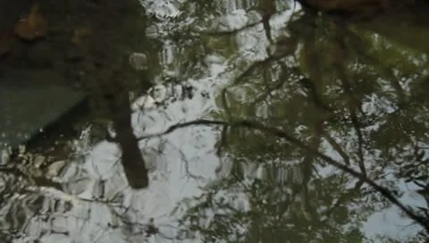 Water reflection Stock Footage 8908684