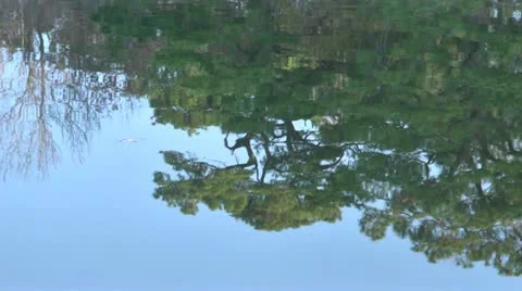 Water reflection Video stock 12754103