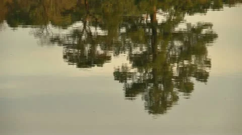 Water reflection Video stock 12754152