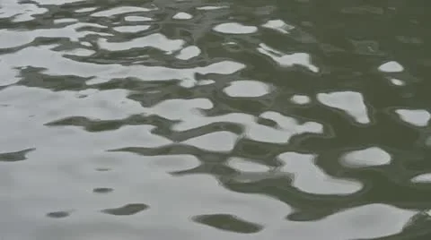 Water reflection 動画素材 20522388