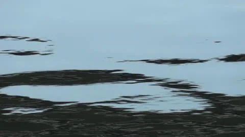 Water reflection Видео 20604205