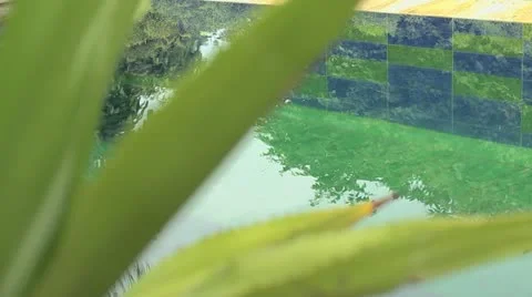 Water reflection Stock Footage 22269631