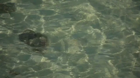 Water reflection Stock Footage 26307315