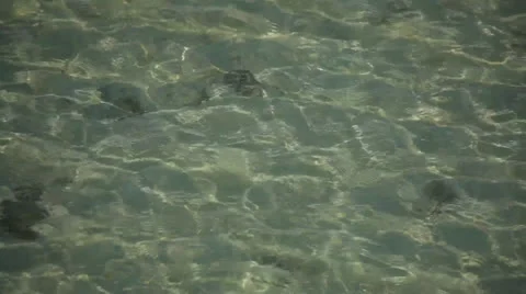 Water reflection Stock Footage 26319946