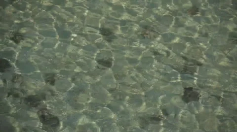 Water reflection Stock Footage 26320169
