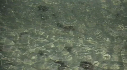 Water reflection Stock Footage 26320202