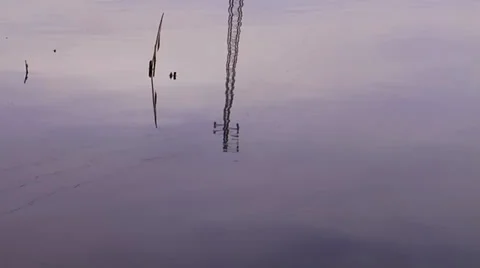 Water reflection Video stock 34511233