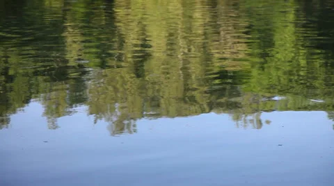 Water Reflection Stock Footage