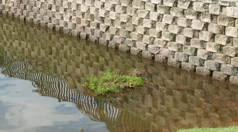 Water reflection Stock Footage 47871162