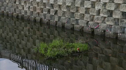 Water reflection Stock Footage 47871668