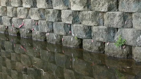 Water reflection Stock Footage 47871896