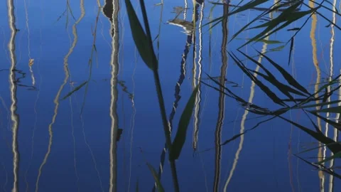 WATER REFLECTION Stock Footage 158052683